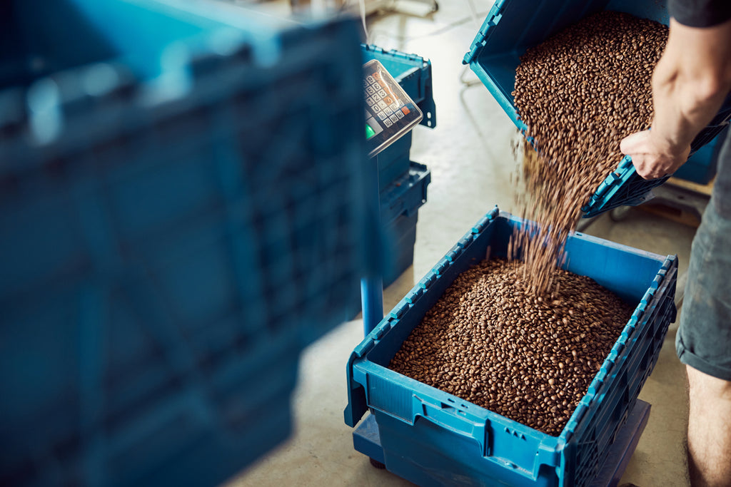 How to Choose the Right Nescafé Products for Your Business Needs