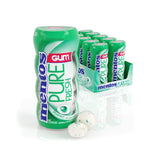 Mentos Gum Spearmint 15 pc