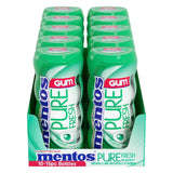 Mentos Gum Spearmint 15 pc