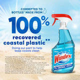 Wholesale Windex Original Blue - Essential Cleaning Product for Modern Mexican Groceries. Mexmax INC.