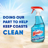 Wholesale Windex Original Blue - Essential Cleaning Product for Modern Mexican Groceries. Mexmax INC.