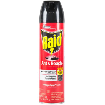 Raid Ant & Roach Outdoor Fresh Scent 17.5 oz